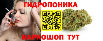 дмт Будённовск
