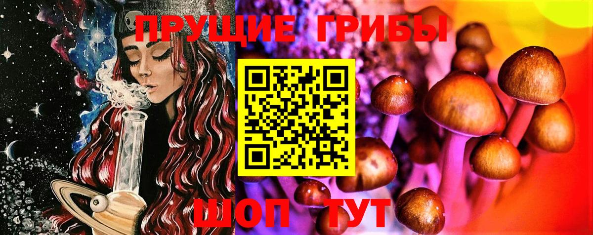 Ртищево  Псилоцибиновые грибы Cubensis  Галлюциногенные грибы Cubensis  Вход с VPN 